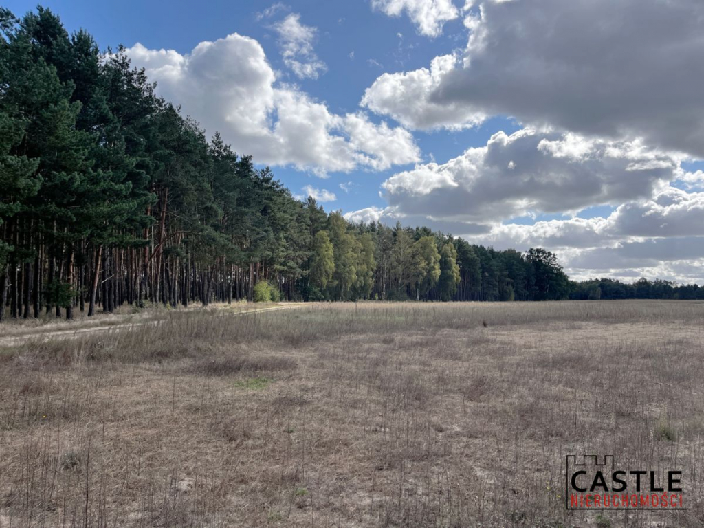 Działka budowlana blisko lasu, Trzciel/Jasieniec Trzciel - zdjęcie 7