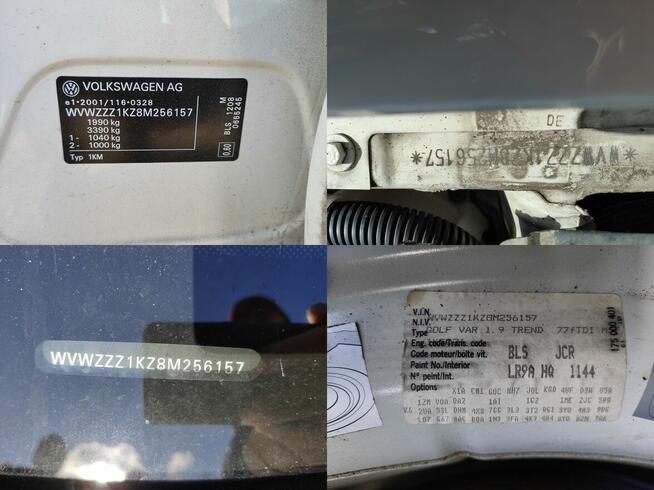 Volkswagen Golf V Korytowo - zdjęcie 4