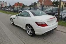 Mercedes SLK 250 Ostrów Wielkopolski - zdjęcie 6