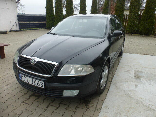 sprzeam oktawie Wolbrom - zdjęcie 4