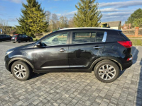 Kia Sportage kamera xenon navigacja skóra Import Francja bez korozji Drelów - zdjęcie 7