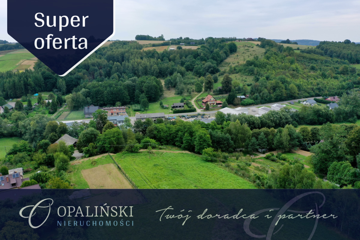 Działka budowlana 21ar z warunkami zabudowy na dom Błędowa Tyczyńska - zdjęcie 1