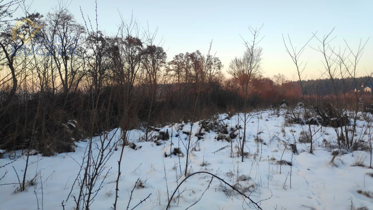 Sprzedam działkę pod zabudowę usługową w Brochowie Brochów - zdjęcie 3
