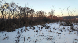 Sprzedam działkę pod zabudowę usługową w Brochowie Brochów - zdjęcie 3