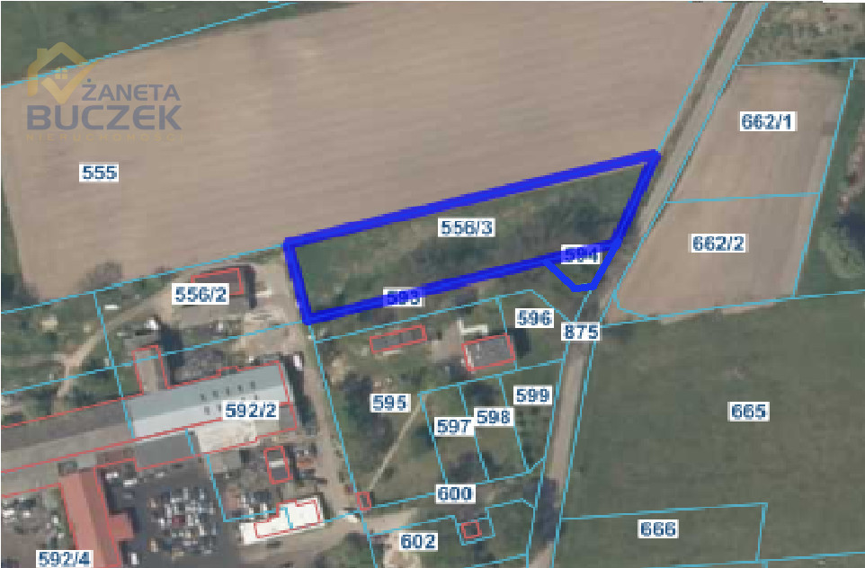 Działka pod obiekt produkcyjny Nieborów - zdjęcie 2