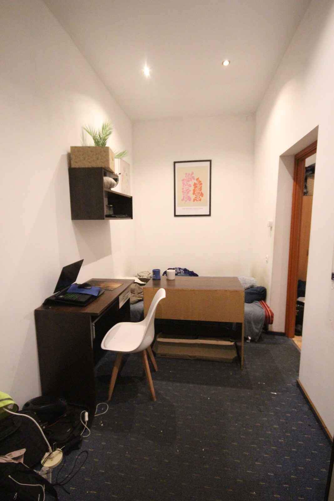 6pok, 120met, okolice Podwala ROZKŁAD/PIWNICA (Wrocław) Stare Miasto - zdjęcie 8