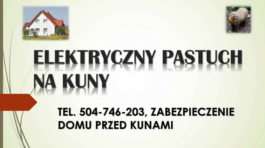 Elektryczny pastuch, na kuny, tel, 504-746-203. Pastuchy elektryczne, Psie Pole - zdjęcie 3