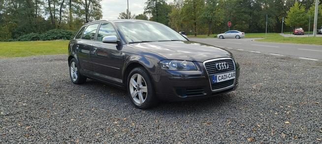 Audi A3 Super stan, pełna dokumentacja. Goczałkowice-Zdrój - zdjęcie 3