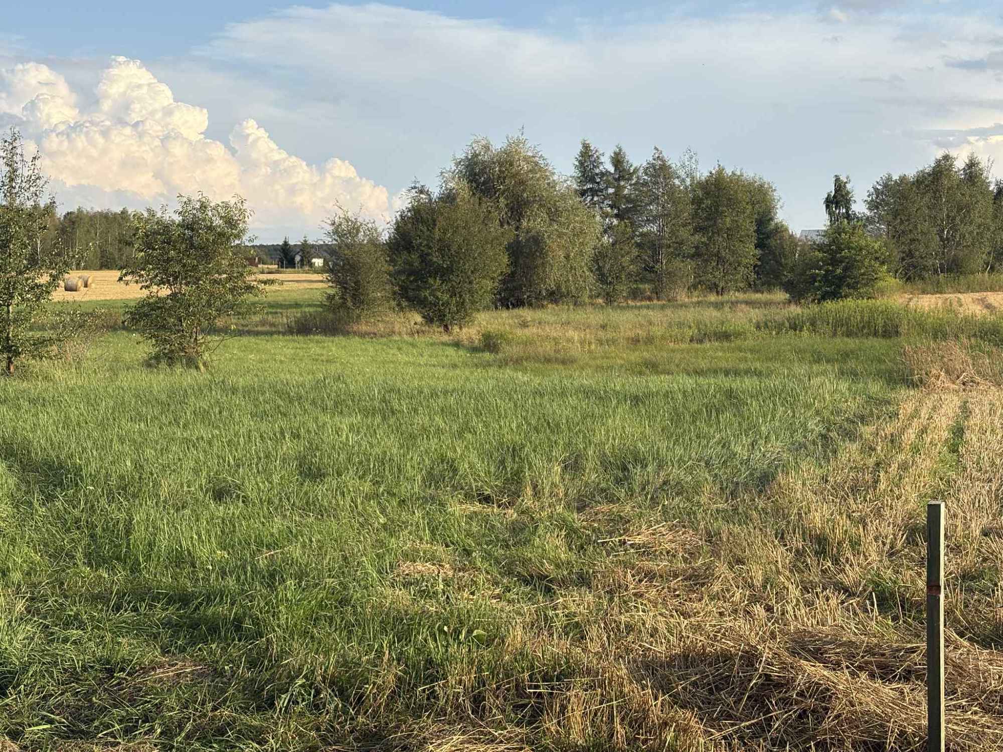 Sprzedam działkę Kozłówka - zdjęcie 1