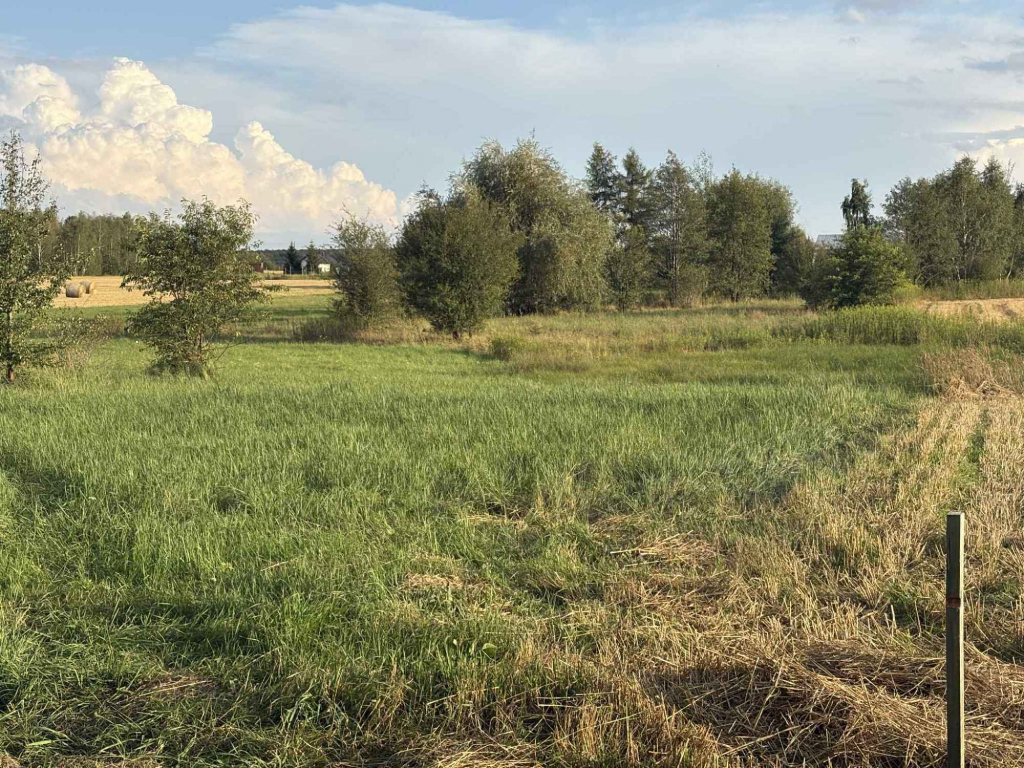 Sprzedam działkę Kozłówka - zdjęcie 1