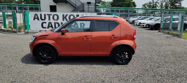 Suzuki Ignis Krajowy, drugi właściciel. Goczałkowice-Zdrój - zdjęcie 7