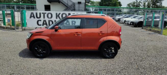 Suzuki Ignis Krajowy, drugi właściciel. Goczałkowice-Zdrój - zdjęcie 7