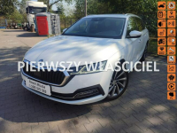 Škoda Octavia Fv 23 salkn polska style