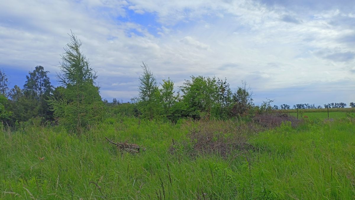 Działka z MPZP, możliwość dalszego podziału. Komorniki - zdjęcie 2