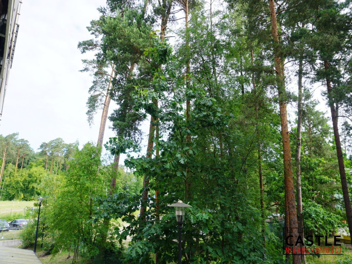 Stegna I Lipowa I 2 pokoje I gotowe do wejścia Stegna - zdjęcie 8