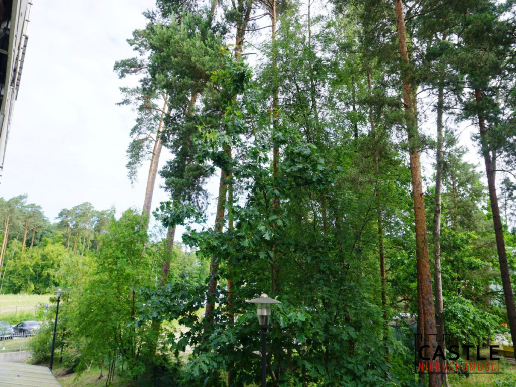 Stegna I Lipowa I 2 pokoje I gotowe do wejścia Stegna - zdjęcie 8