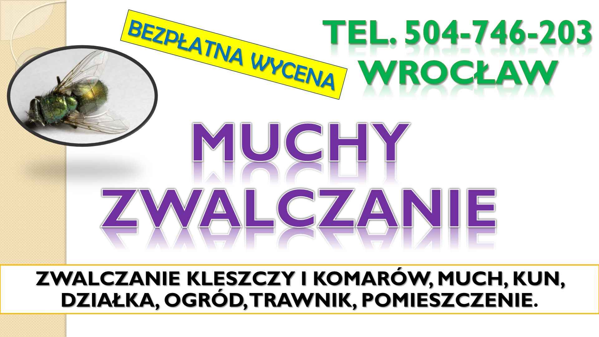 Likwidacja much dezynfekcja, t. 504-746-203, Wrocław. Zwalczanie muchy Psie Pole - zdjęcie 1