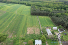 Cisza | Spokój | Las | Budowlana Czerce - zdjęcie 4