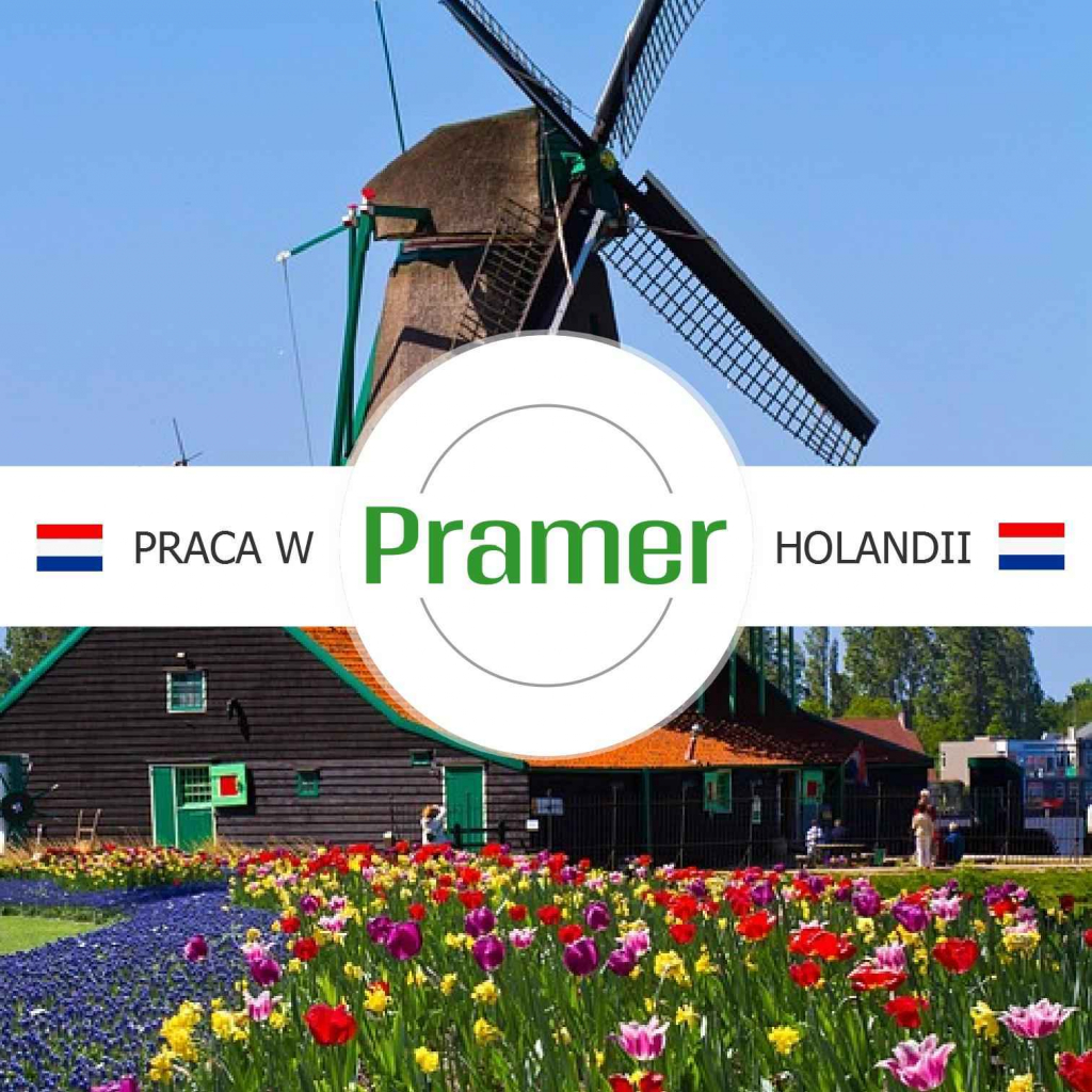 Pracownik produkcji serów - praca w Holandii Waganka - zdjęcie 1