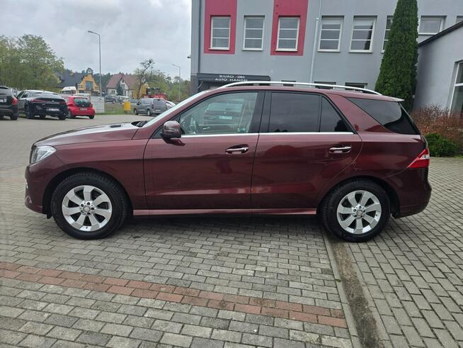Mercedes ML 350 4Matic Ostrołęka - zdjęcie 8