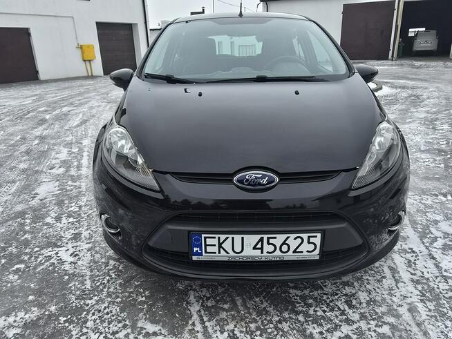 Ford Fiesta 1,6tdci Klima.Alu.EL.szyby.Centralka.kredyt.OKAZJA Kutno - zdjęcie 3