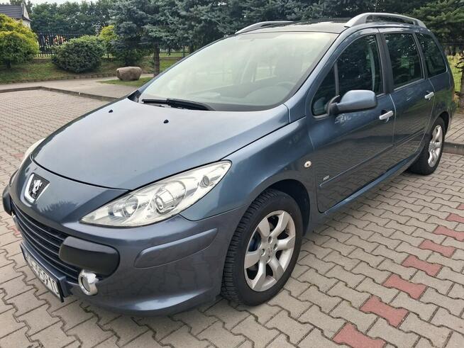 Peugeot 307 Dębica - zdjęcie 2
