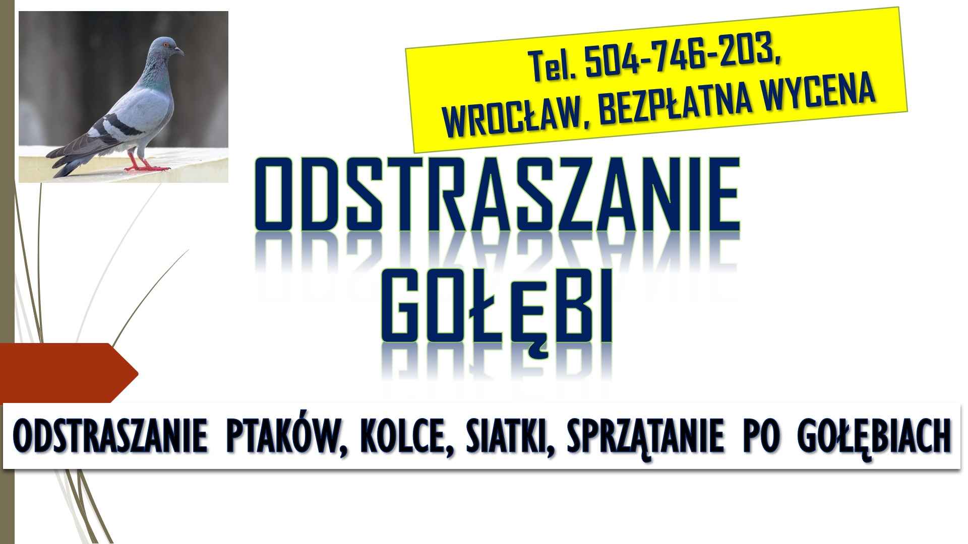 Odstraszanie gołębi, Wrocław, tel. 504-746-203. Płoszenie ptaków, cena Psie Pole - zdjęcie 4