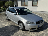 Audi 3 1,6 mpi 102 Konie Xenon tylko 155 tys km Śliczna ! Szerominek - zdjęcie 10