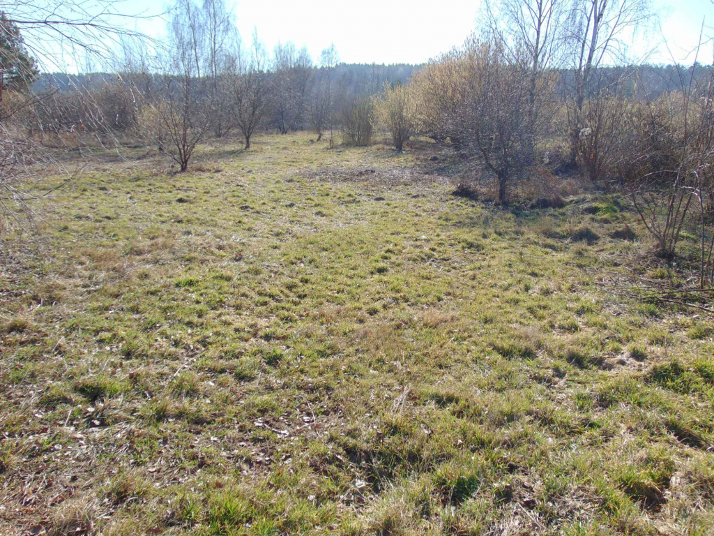 Na sprzedaż działka 4400 m2 — okolice Zielonej Góry Zielona Góra - zdjęcie 2