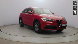 Stelvio 2.0 Turbo Business Q4! Z polskiego salonu! Z FV!