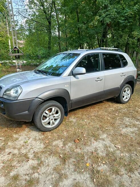 Witam Milanówek - zdjęcie 11