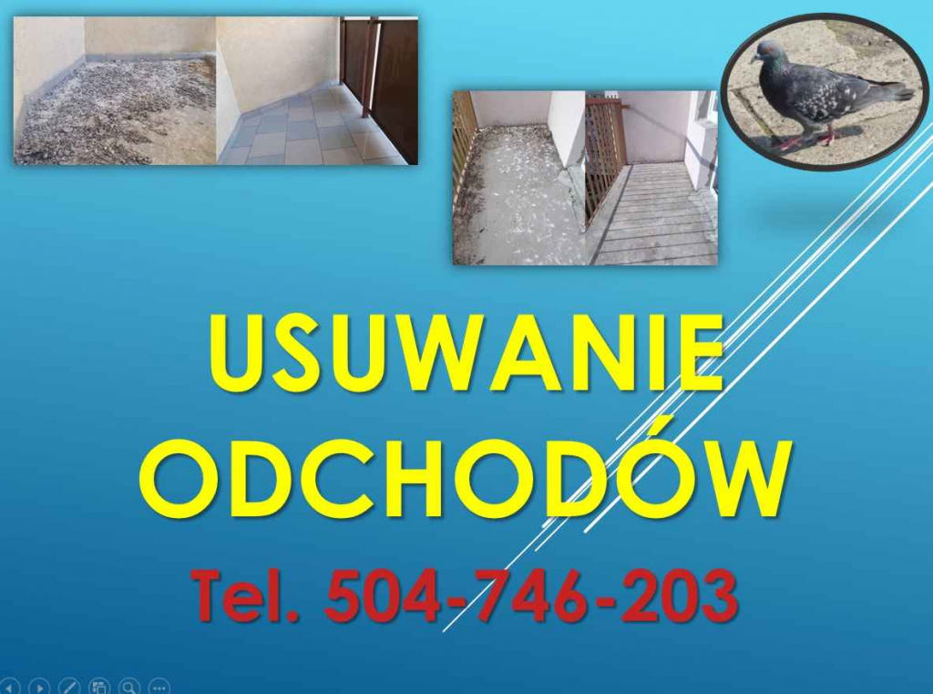 Czyszczenie po gołębiach, t. 504-746-203, sprzątanie ptasich odchodów Psie Pole - zdjęcie 12