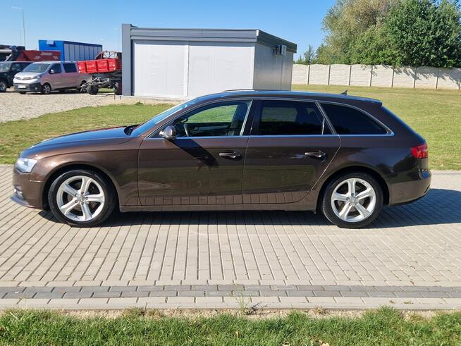 Audi A4 2.0tdi 177KM Automat S line Bixenon Ledy Navi Hak Raty Zamiana Strobice - zdjęcie 3