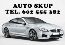 AUTO-SKUP 602-555-382