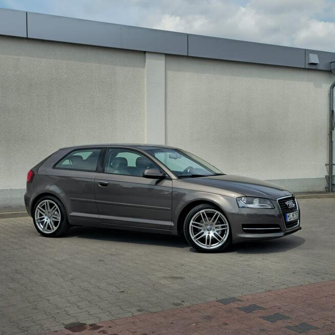 Audi A3 3-drzwiowe 1.6 TDI S line Sportpaket 105KM Manual Ostrów Mazowiecka - zdjęcie 9