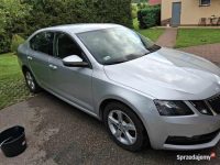 Skoda Octavia 2017 PO PRZEGLĄDZIE Chomentów - zdjęcie 3