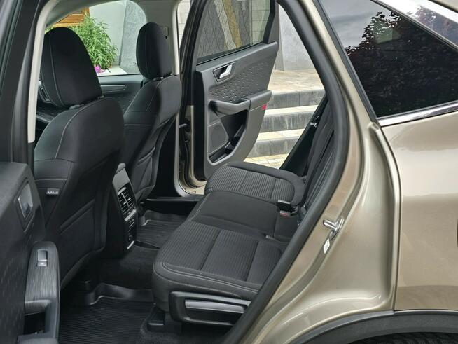 Ford Kuga 1.5 EcoBlue 120KM Titanium / Salon PL I-właściciel Skępe - zdjęcie 6