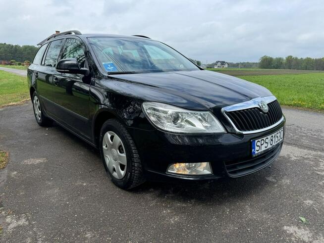 Škoda Octavia Oryginalny lakier, bezwypadkowy, zadbany, bez korozji Kobielice - zdjęcie 3