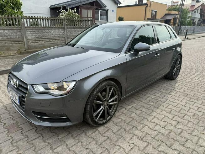 Audi A3 1,6TDI Poniec - zdjęcie 1