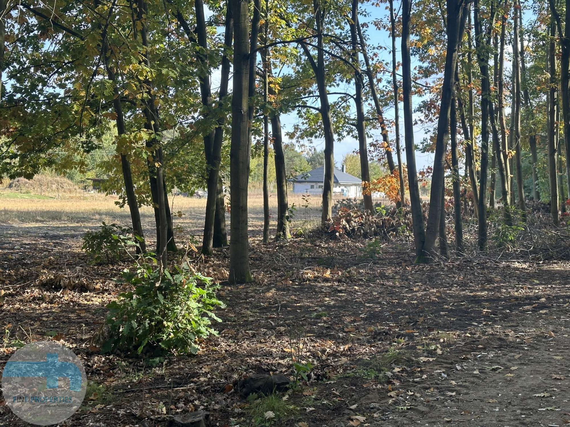 Atrakcyjna działka budowlana blisko lasu Kałuszyn - zdjęcie 4