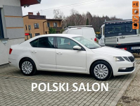 Škoda Octavia krajowa