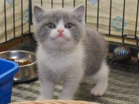 przez WhatsApp, aby uzyskać więcej informacji: +27848239748