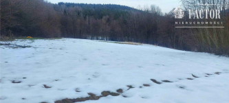 Działka budowlana w otulinie drzew 35 a – Siary, gm. Sękowa 1175S/2026