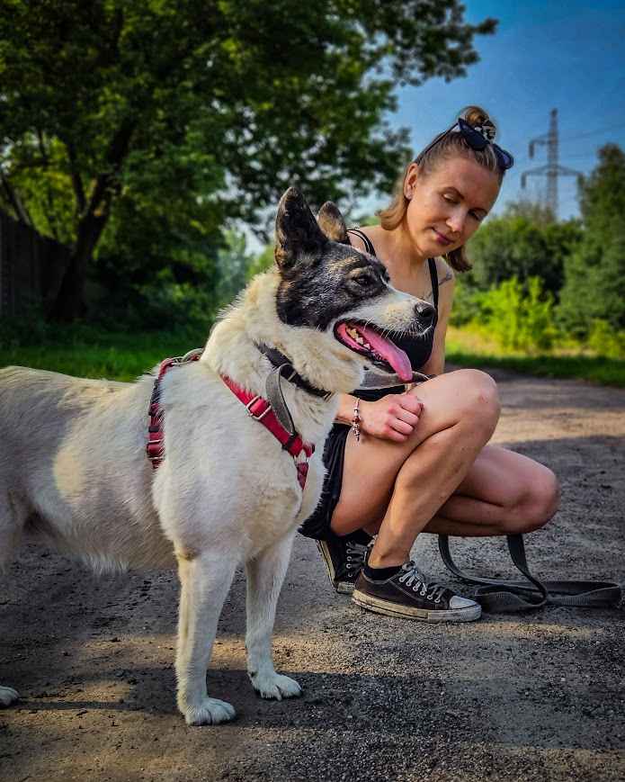 Oddana z adopcji przeokrutnie cierpi za kratami, pomocy! :( Śródmieście - zdjęcie 6