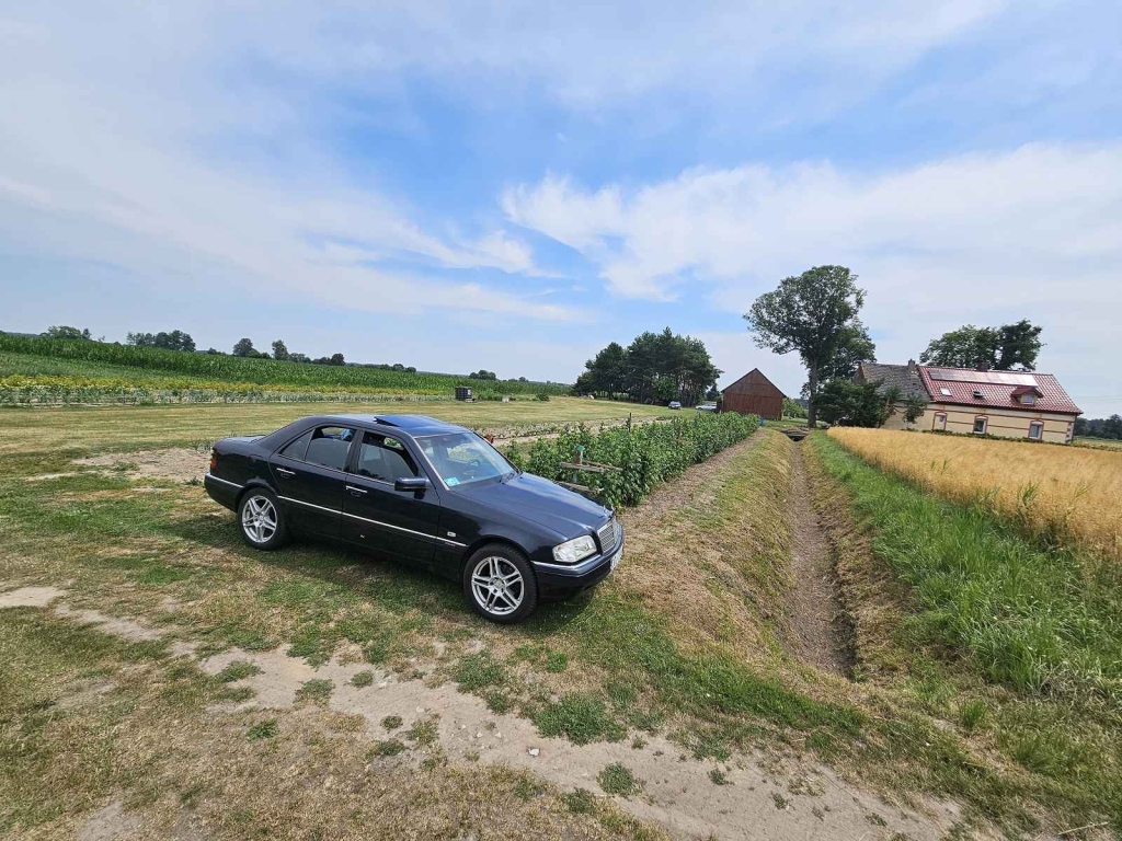 Działka Budowlana (2000 m2) MEDIA (Brzozowiec) Brzozowiec - zdjęcie 8