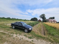 Działka Budowlana (2000 m2) MEDIA (Brzozowiec) Brzozowiec - zdjęcie 8