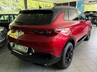 Opel Grandland X GS/17669 km/zarejestrowany/2 klucze/pierwszy lakier Rybnik - zdjęcie 4