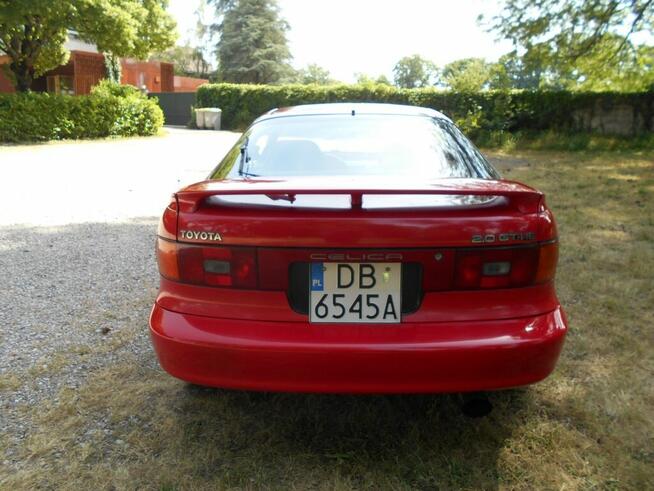 Celiica Wierzchucino - zdjęcie 4