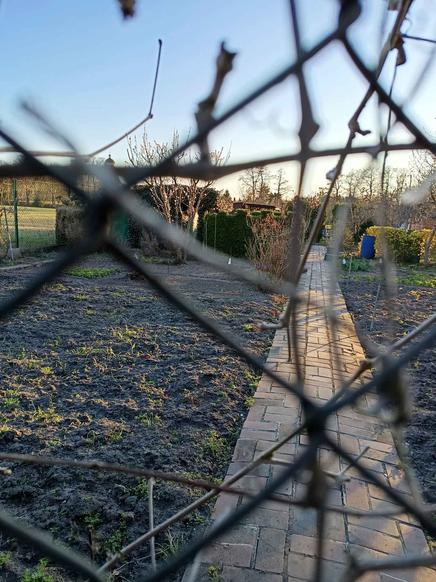 Sprzedam działkę Szamotuły - zdjęcie 1