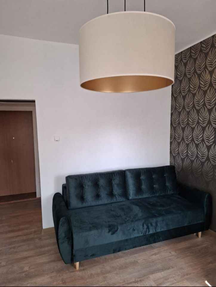 1pok, 20met, okolice Bujwida UMEBLOWANE (Wrocław) Śródmieście - zdjęcie 4